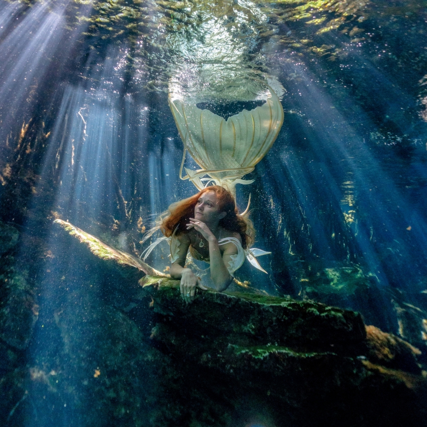 Underwater Film Session